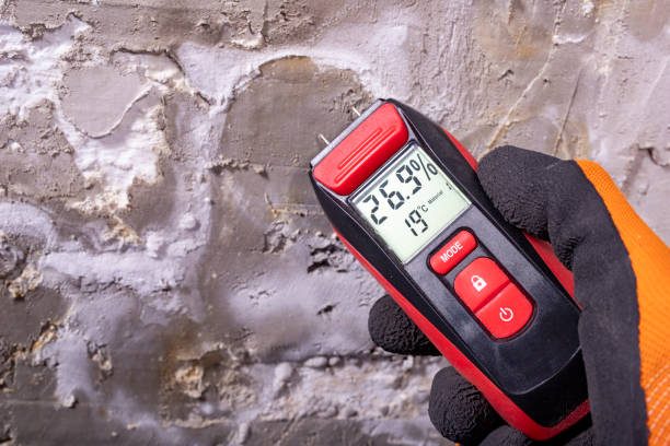 Best Attic Mold Removal  in Fairmont, MN